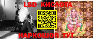 Альфа ПВП Новодвинск