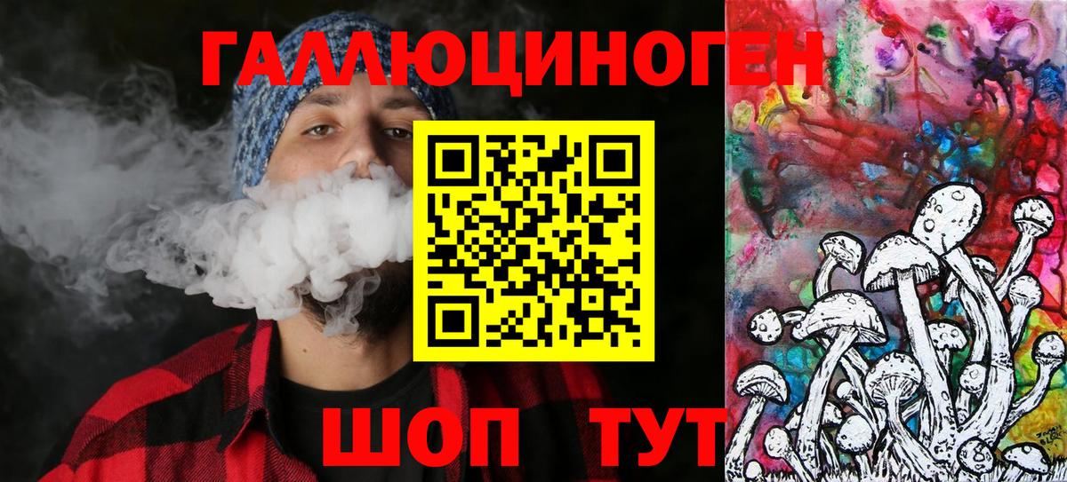 Псилоцибиновые грибы Cubensis Советская Гавань