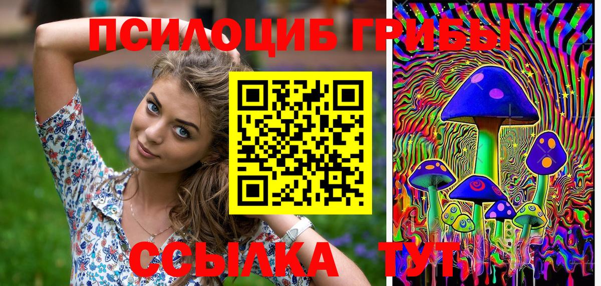 закладка  Галлюциногенные грибы прущие грибы  Вход с VPN  Советская Гавань 